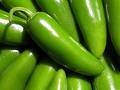 jalapenos