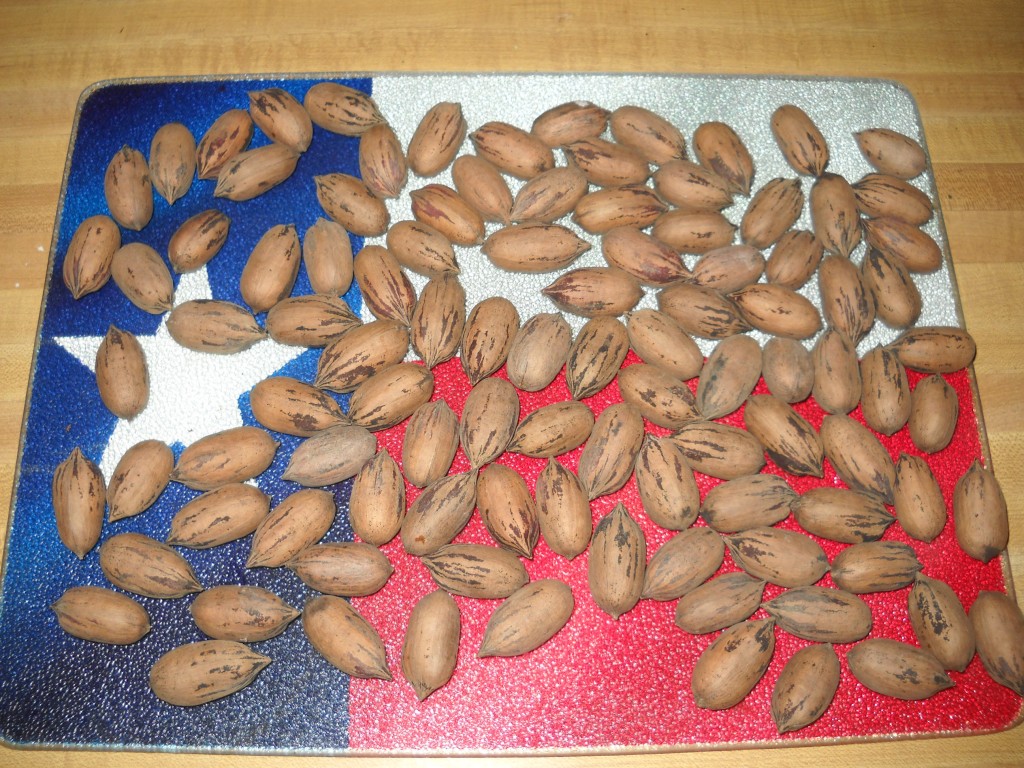 Real Texas Pecans