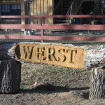 Werst Log