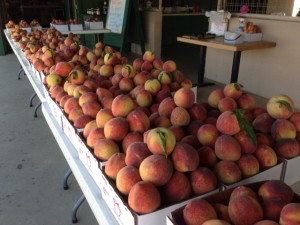 Lots of peaches