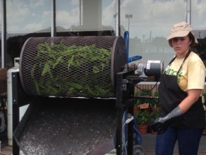 Roasting Hatch Chilies